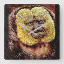 Modelos primates: mono Saki de cara blanca