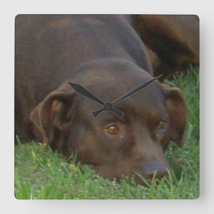 Reloj cuadrado - modificado para requisitos