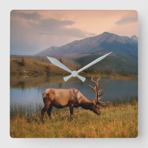 Reloj Cuadrado Montañas   Jacques Mountain Range Alberta Canadá