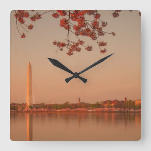 Reloj Cuadrado Monumento de Washington Sakura en la puesta del
