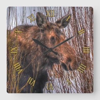 Reloj Cuadrado Moose canadiense salvaje en nieve de invierno I