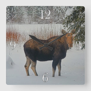 Reloj Cuadrado Moose canadiense salvaje en nieve IV