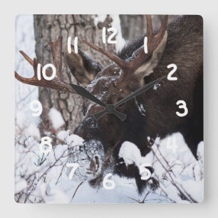 Reloj Cuadrado Moose Chileno