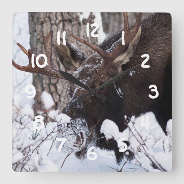 Reloj Cuadrado Moose Chileno (Anverso)