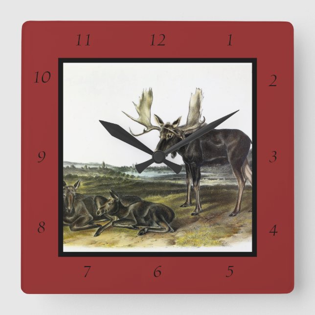 Reloj Cuadrado Moose Deer (Moose - Alces alces) de Audubon (Anverso)