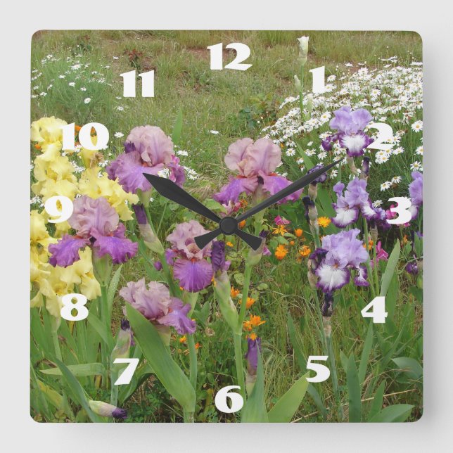 Reloj Cuadrado Morple Iris Irises Flor Jardín de margarita blanca (Anverso)