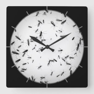 Reloj Cuadrado Mosquitos