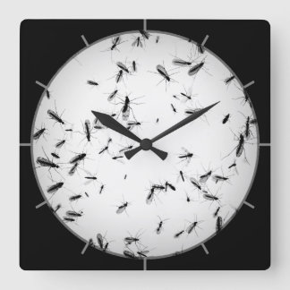 Reloj Cuadrado Mosquitos
