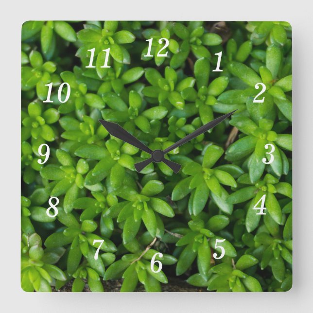 Reloj Cuadrado Moss Abstract Wall Clock (Anverso)