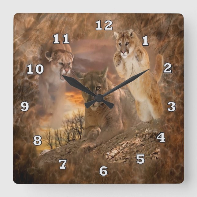 Reloj Cuadrado Mountain Lion Cougar Animal Collage Clock (Anverso)