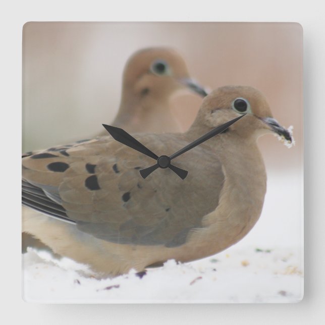 Reloj Cuadrado Mourning dove photography (Anverso)