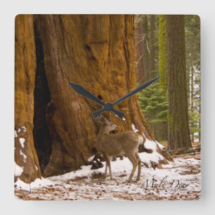 Reloj Cuadrado Mule Deer