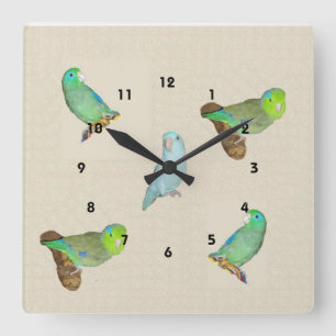 Reloj Cuadrado Multitud de Parrotlet