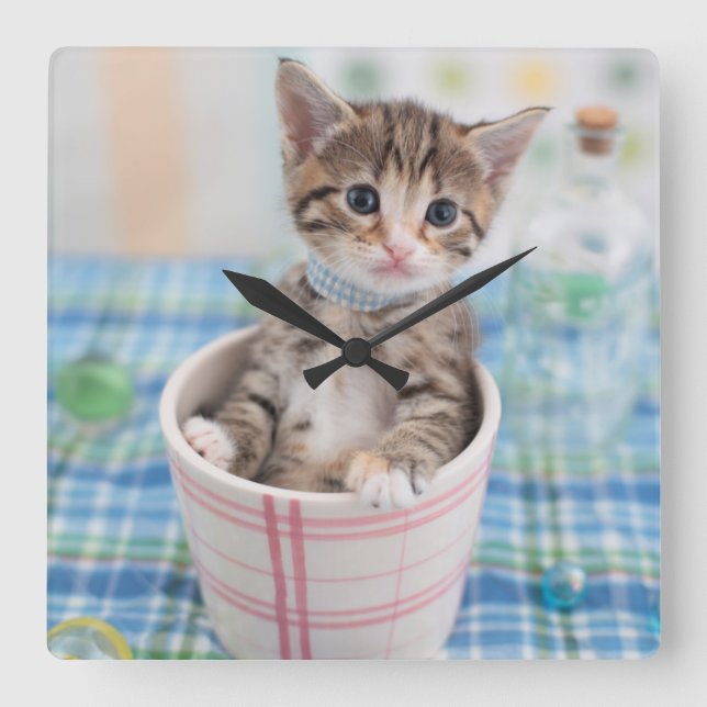 Reloj Cuadrado Munchkin Kitten With Pretty Ribbon (Anverso)