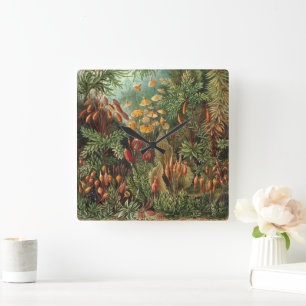 Reloj Cuadrado Muscinae vintage, Moss Plants de Ernst Haeckel