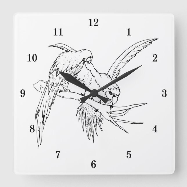 Reloj Cuadrado Muy Guay Parrots Wall Clock (Anverso)