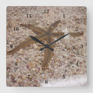 Reloj Cuadrado Muy Guay Starfish Wall Clock