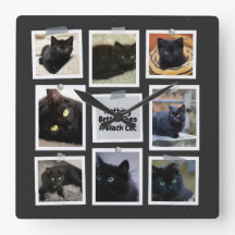 Nada Mejor Que Un Gato Negro