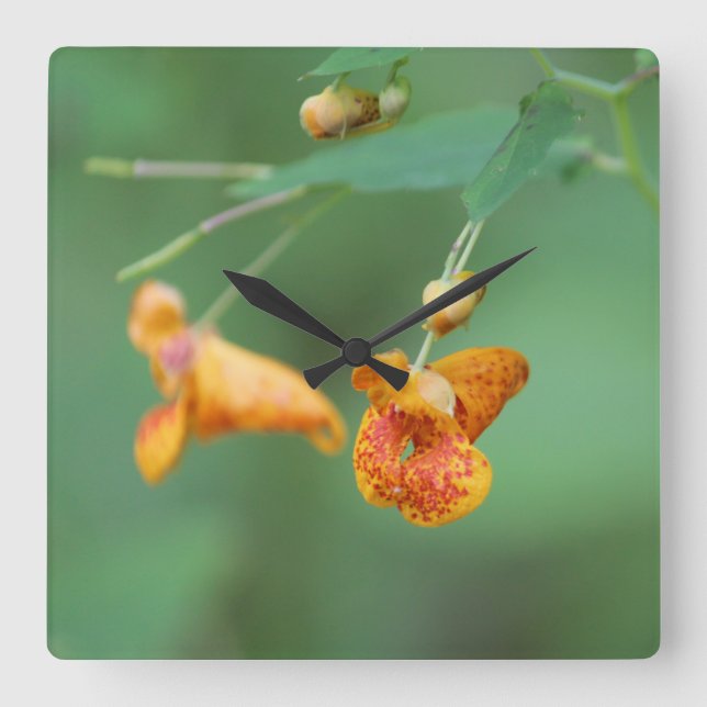 Reloj Cuadrado Naranja decorativa Flor silvestre (Anverso)