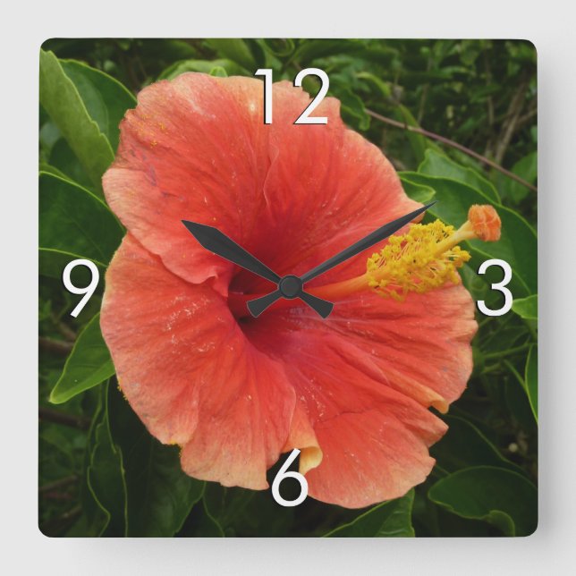 Reloj Cuadrado Naranja Hibiscus Flower Tropical Floral (Anverso)