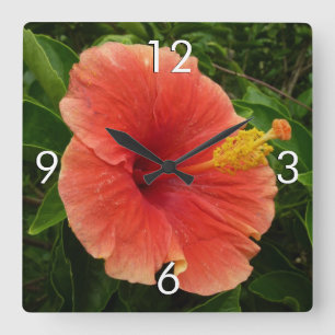Reloj Cuadrado Naranja Hibiscus Flower Tropical Floral