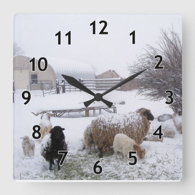 Reloj Cuadrado Nieve de oveja (Anverso)