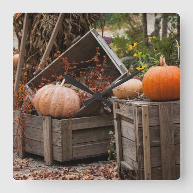 Reloj Cuadrado North Carolina, Linville, autumn pumpkins (Anverso)