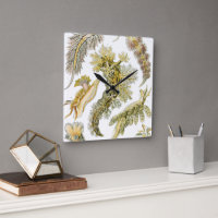 Nudibranquia vintage, manchas marinas por Ernst Ha