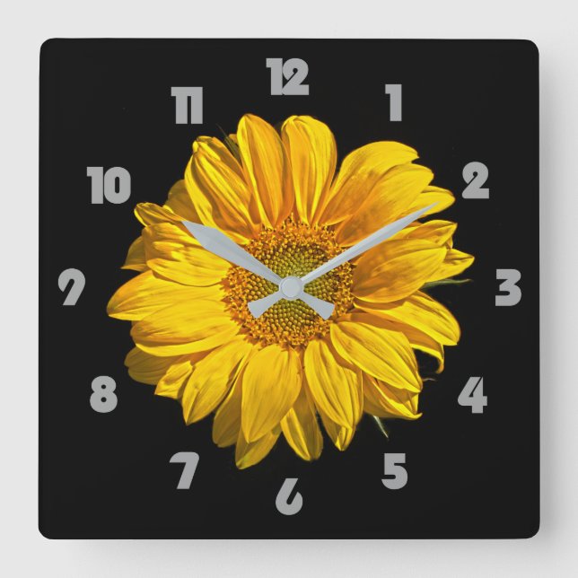 Reloj Cuadrado Números de grasa gris de girasol wc (Anverso)