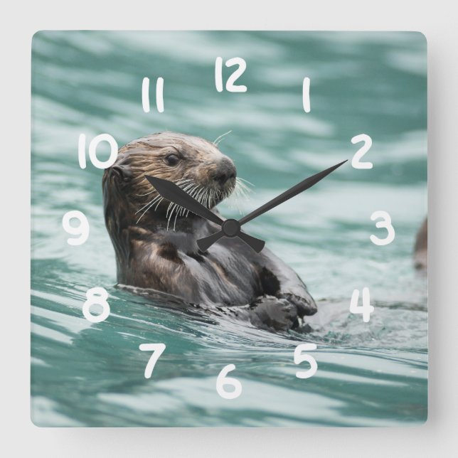 Reloj Cuadrado Nutria de mar de observación (Anverso)