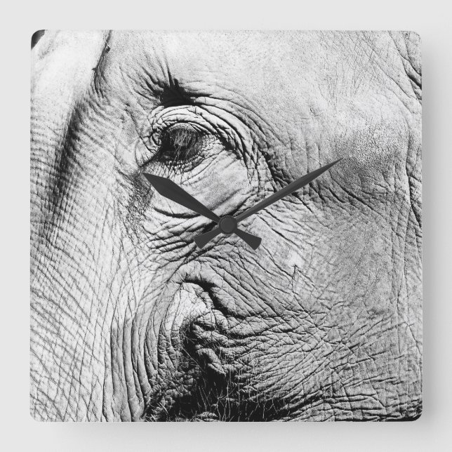 Reloj Cuadrado Ojo de los elefantes, 2017 (Anverso)