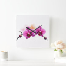 Orquídea Flor de Amanecer
