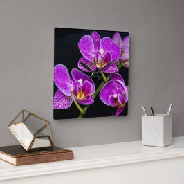 Reloj Cuadrado Orquídea púrpura