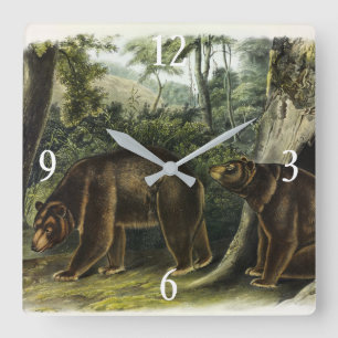 Reloj Cuadrado Oso de canela de los cuatripedos de Audubon