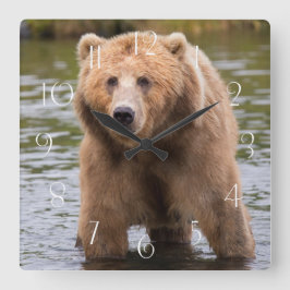 Reloj Cuadrado Oso grandioso de kodiak