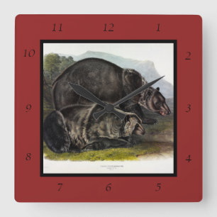 Reloj Cuadrado Oso Grizzly (Oso Marrón Norteamericano) - Audubon