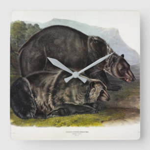 Reloj Cuadrado Oso Grizzly (Oso Marrón Norteamericano) - Audubon