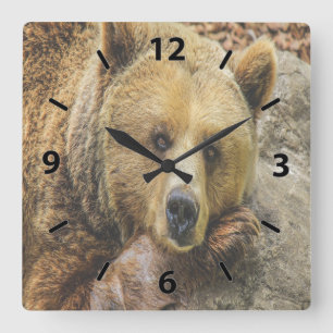 Reloj Cuadrado Oso Marrón Salvaje