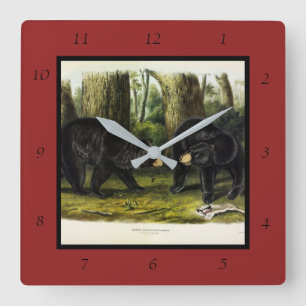 Reloj Cuadrado Oso Negro Americano (Ursus Americanus) de Audubon