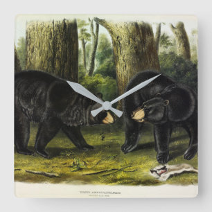 Reloj Cuadrado Oso Negro Americano (Ursus Americanus) de Audubon