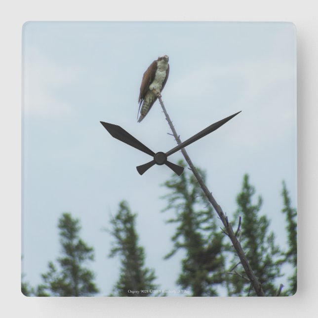 Reloj Cuadrado Osprey 9028 (Anverso)