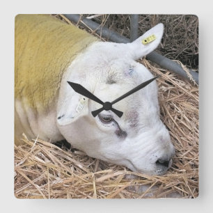 RELOJ CUADRADO OVEJA