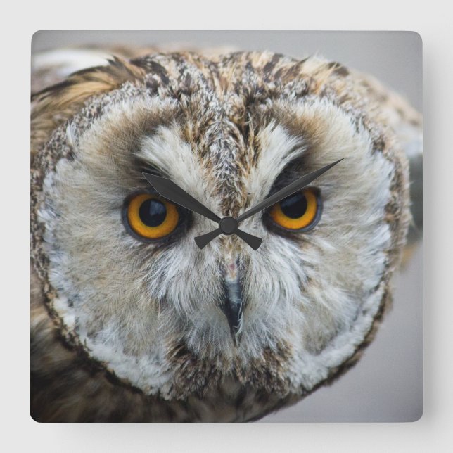 Reloj Cuadrado Owl Clock (Anverso)