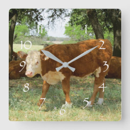 Reloj Cuadrado Paisaje de vacas de Texas