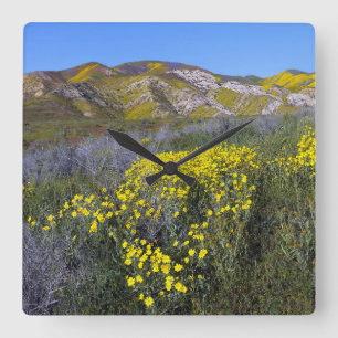 Reloj Cuadrado Paisaje del campo de las flores silvestres amarill