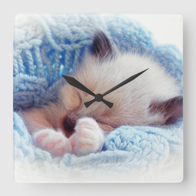 Reloj Cuadrado Paisajes Siameses de gatito durmiendo (Anverso)