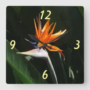 Reloj Cuadrado Pájaro del Naranja del paraíso Flor tropical