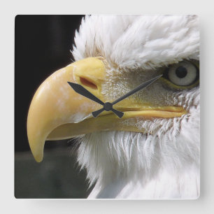 RELOJ CUADRADO PÁJAROS DE EAGLE