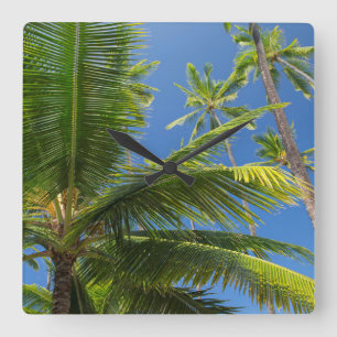 Reloj Cuadrado Palmeras de coco, Pu'uhonua o Honaunau 1