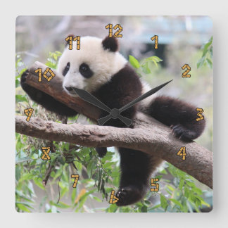 Reloj Cuadrado Panda Cub